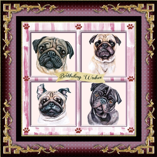 Pugs In My Garden