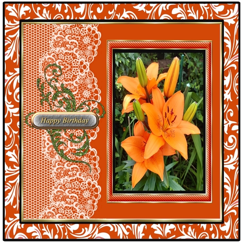 Flowers In My Garden 4