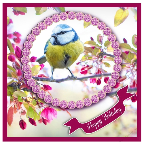 Jewelled Blue Tit 5.5 inch Square Card