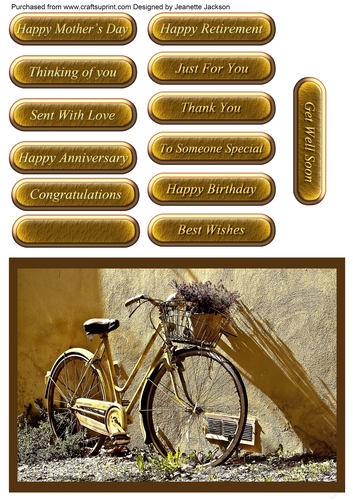 Vintage Bicycle  All Occasions Female Quick Card