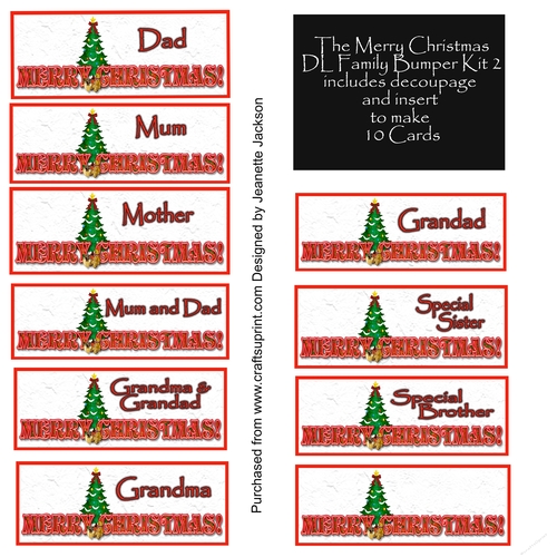 The Merry Christmas DL Family Bumper Kit 2 x 10 Cards
