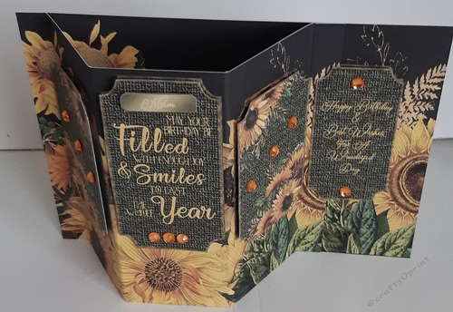 Bay Window Sunflower 7 x 5 inch Shaped Card