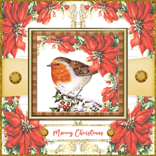 Robin Poinsettia 7 x 7 Christmas Card