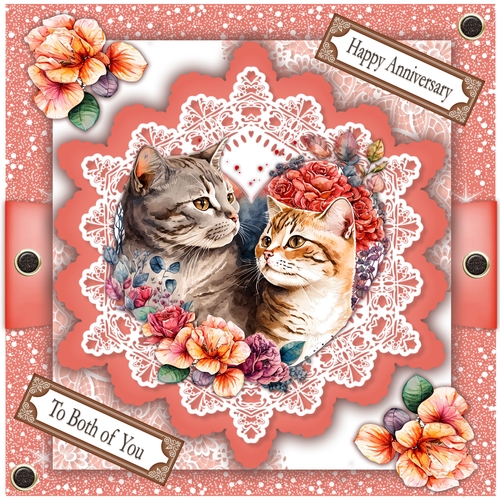 Cats Anniversary 7 x 7 card kit