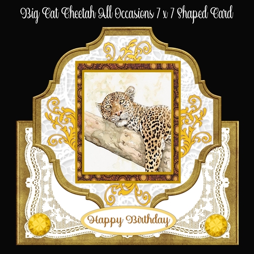 Big Cats Cheetah All Occasions 7 x 7 Shaped Card