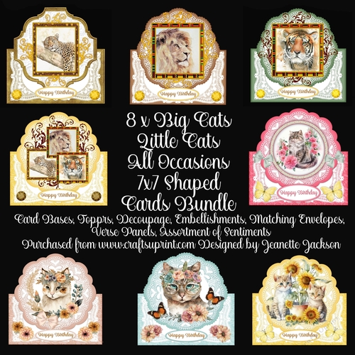8 x Big Cats Little Cats All Occasions 7 x 7 Shaped Cards Bundle