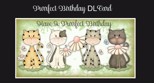 Purrfect Birthday DL Card 