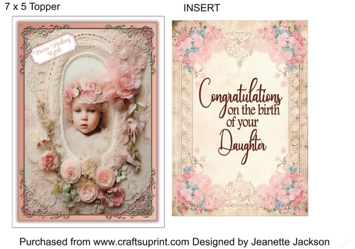 New Baby Daughter No 1 7 x 5 Topper & Insert