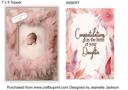 New Baby Daughter No 2 7 x 5 Topper & Insert