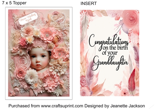 New Baby Granddaughter No 2 7 x 5 Topper & Insert