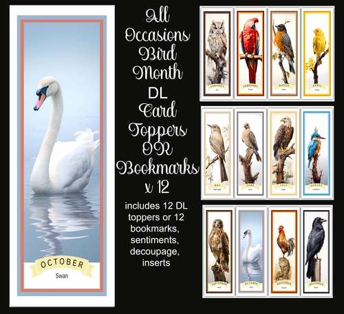 All Occasions Bird Month DL Card OR Bookmarks x 12