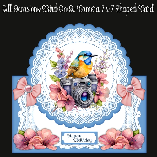 All Occasions Bird On A Camera 7x7 Shaped Card