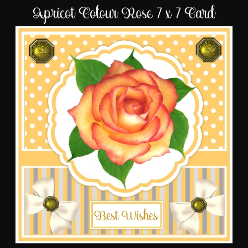Apricot Colour Rose 7 x 7 Card