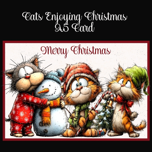 Cats Enjoying Christmas A5 Card