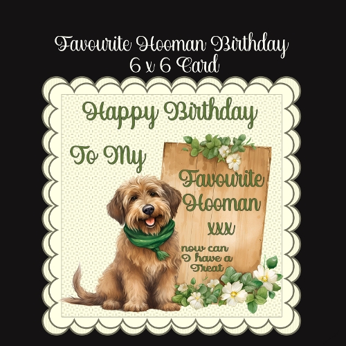 Favourite Hooman Birthday 6 x 6 Card