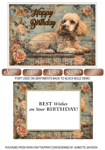 No 7 Cute Dog 5 x 7 Birthday Card