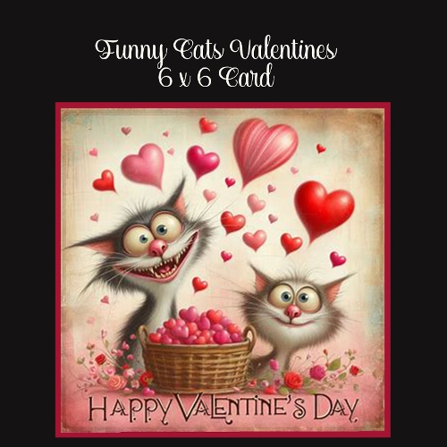 Funny Cats 6 x 6 Valentines Card
