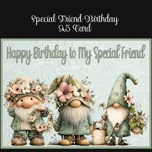 Special Friend Birthday A5 Card