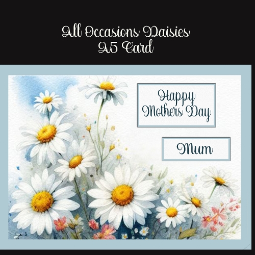 All Occasions Daisies A5 Card