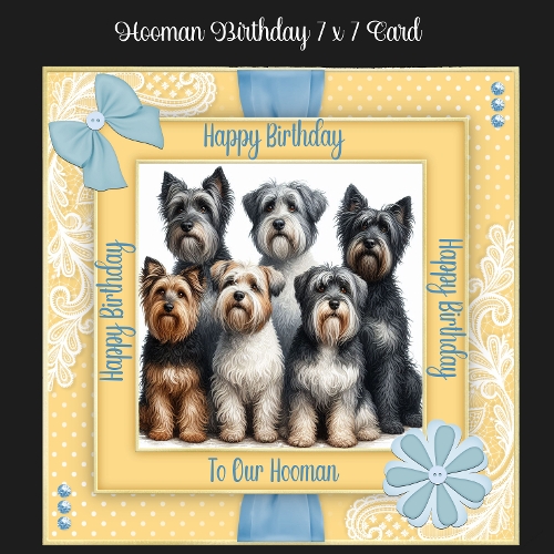 Hooman Birthday 7 x 7 Card