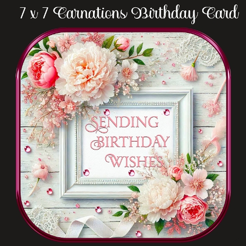 7 x 7 Carnations Birthday Card