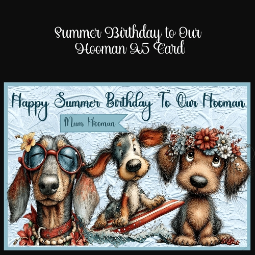 Summer Birthday To Our Hooman A5 Card