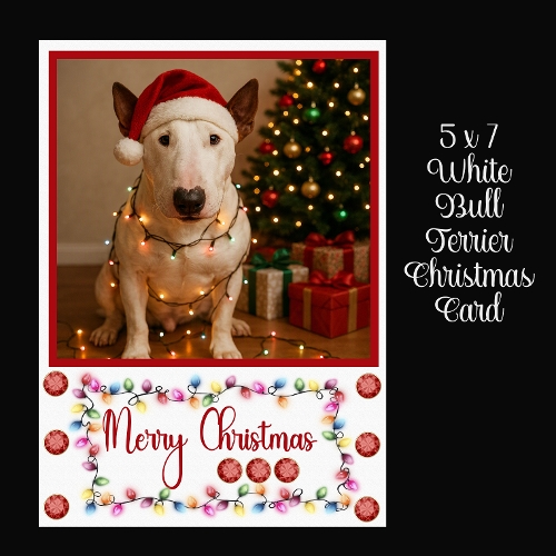 5 x 7 White Bull Terrier Christmas Card
