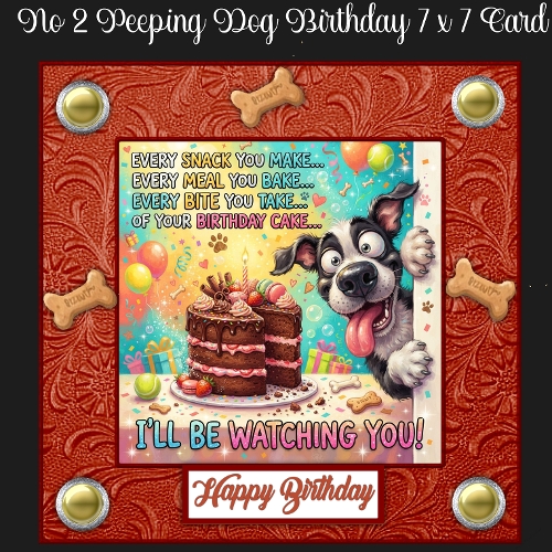 No 2 Peeping Dog Birthday 7 x 7 Card