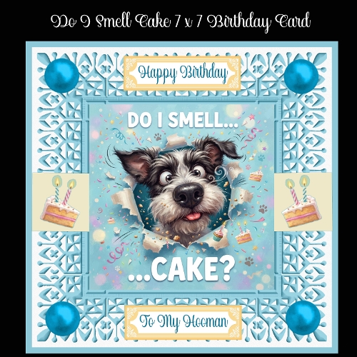 Do I Smell Cake Birthday 7 x 7 Card