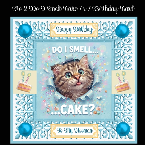 No 2 Do I Smell Cake Birthday 7 x 7 Card