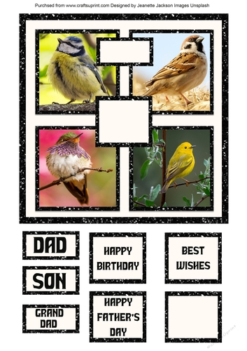 Garden Birds Male Birthday