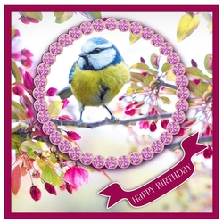 Jewelled Blue Tit Card