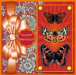 Orange Trio of Butterflies