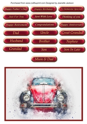 Beetle Car All Occasions Male