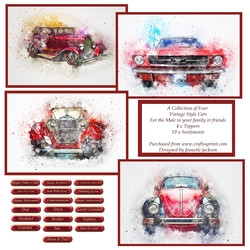 Collection of Four Vintage Car Toppers