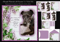Beautiful Patterdale All Occasions 7 x 7 Card Kit