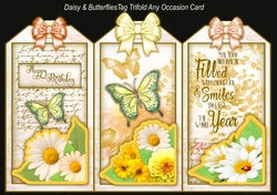 Daisy & Butterflies Tag Trifold Any Occasion Card