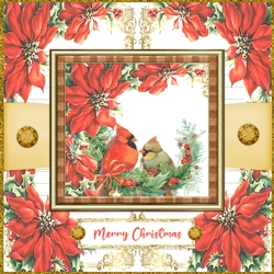Christmas Birds 7 x 7 Christmas Card