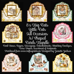 8 x Big Cats Little Cats All Occasions 7 x 7 Shaped Cards Bundle