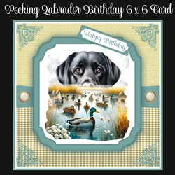Peeking Labrador Birthday 6 x 6 Card