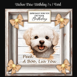 Bichon Frise Birthday 7 x 7 Card