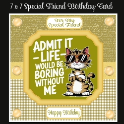 7 x 7 Special Friend Birthday Card