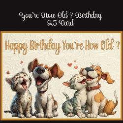 You`re How Old? Birthday A5 Card