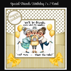Special Friend Birthday 7 X 7 Card