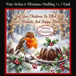 Cute Robin & Christmas Pudding 7 x 7 Card