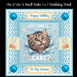 No 2 Do I Smell Cake Birthday 7 x 7 Card