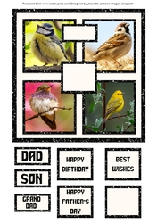 Garden Birds Male Birthday