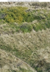 Grass Field A4 Background