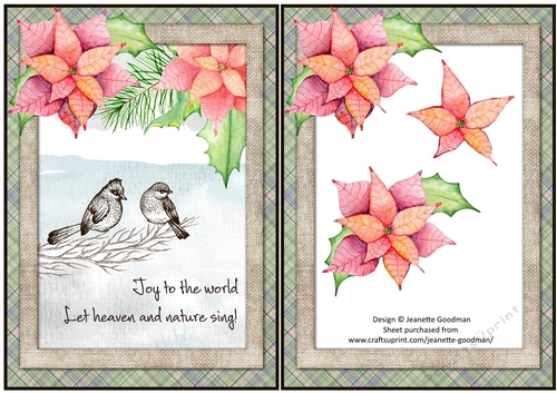 Poinsettia Winter Christmas Birds A5 card