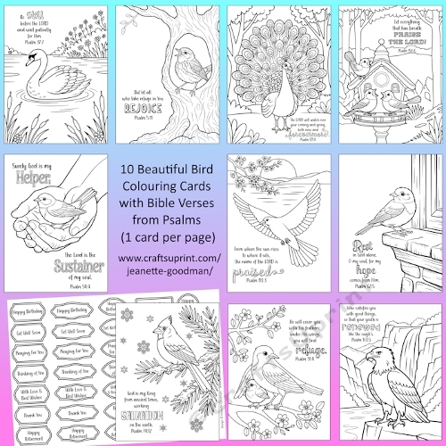 10 Birds and Psalms Bible Verse Colouring Cards